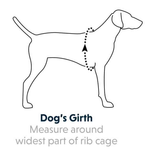 Ruffwear Dog Harness Size Guide - Pet Shop Direct